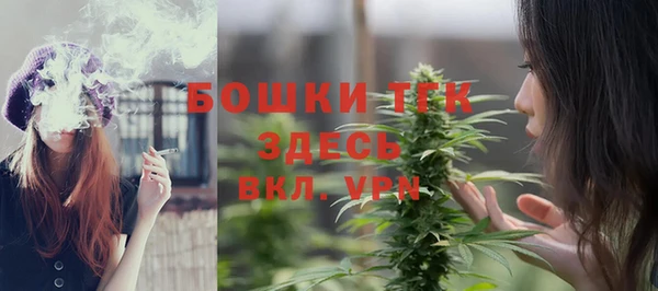 прущие грибы Абаза