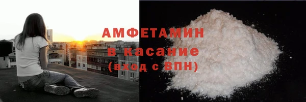 прущие грибы Абаза