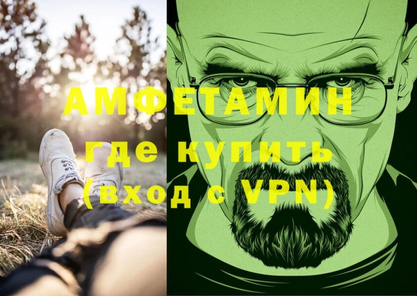 прущие грибы Абаза