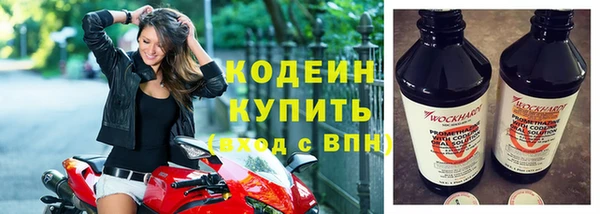прущие грибы Абаза