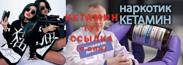 прущие грибы Абаза