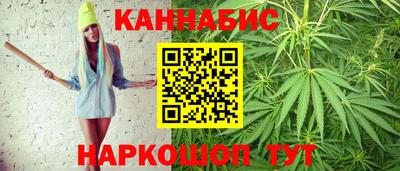 мдпв Жуковский
