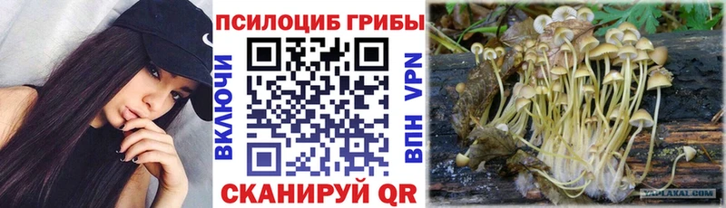 Псилоцибиновые грибы MAGIC MUSHROOMS Избербаш