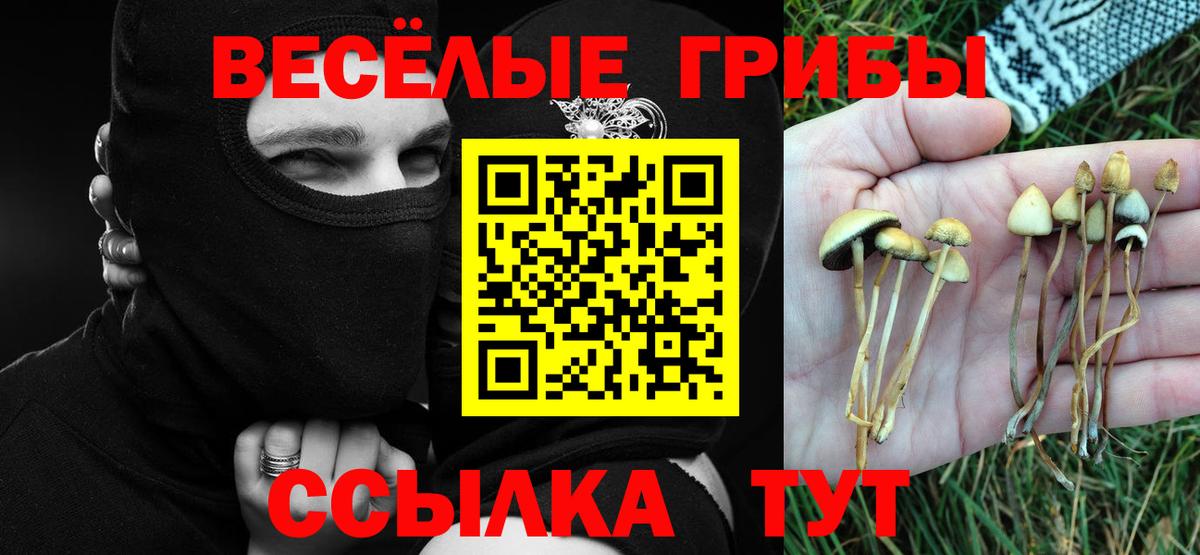 Избербаш  Псилоцибиновые грибы MAGIC MUSHROOMS  Вход с VPN  Псилоцибиновые грибы MAGIC MUSHROOMS 
